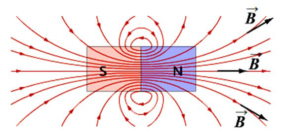 Посоката на вектора на магнитната индукция на постоянен магнит. 